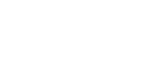 Lisans Hizmetleri